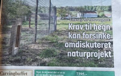 Landzonetilladelse til usædvanligt hegn